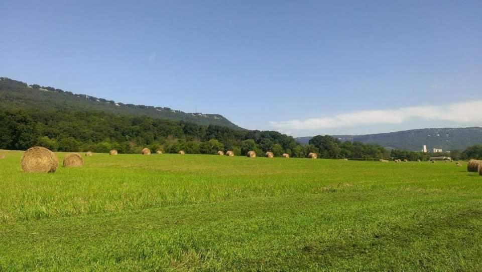 Elder Mountain Room At Tennessee Riverplace 查塔努加 外观 照片