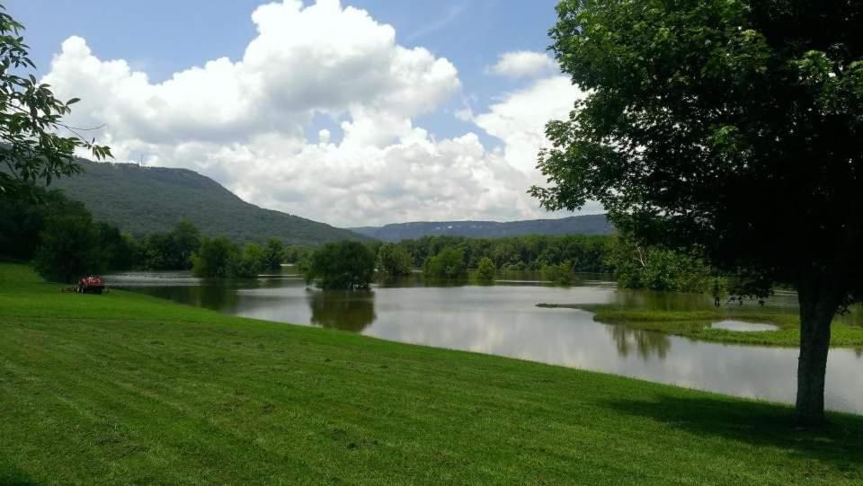 Elder Mountain Room At Tennessee Riverplace 查塔努加 外观 照片
