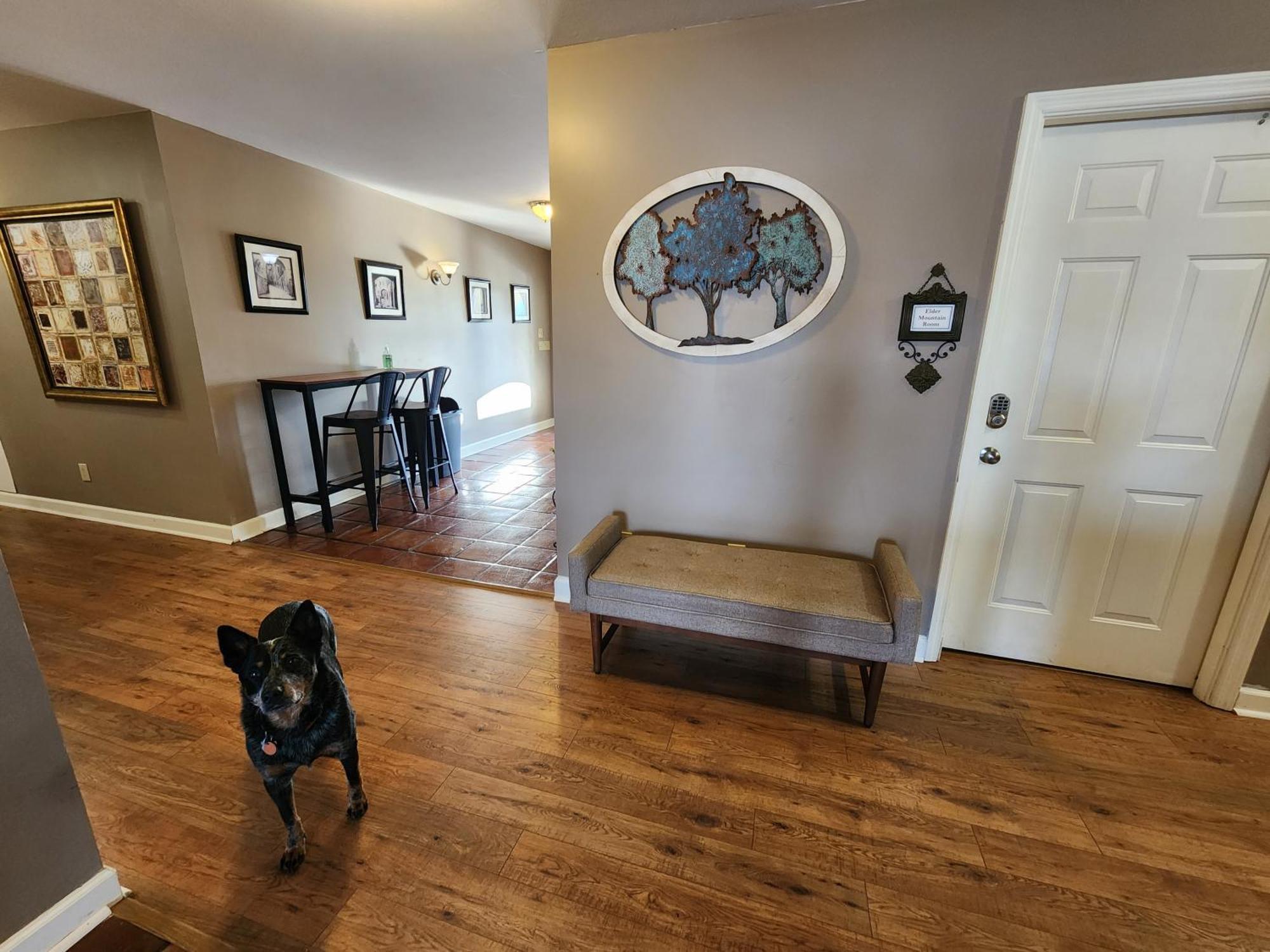 Elder Mountain Room At Tennessee Riverplace 查塔努加 外观 照片